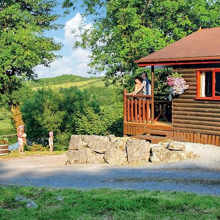 Hotel Garnffrwd Park Llanddarog Exteriér fotografie