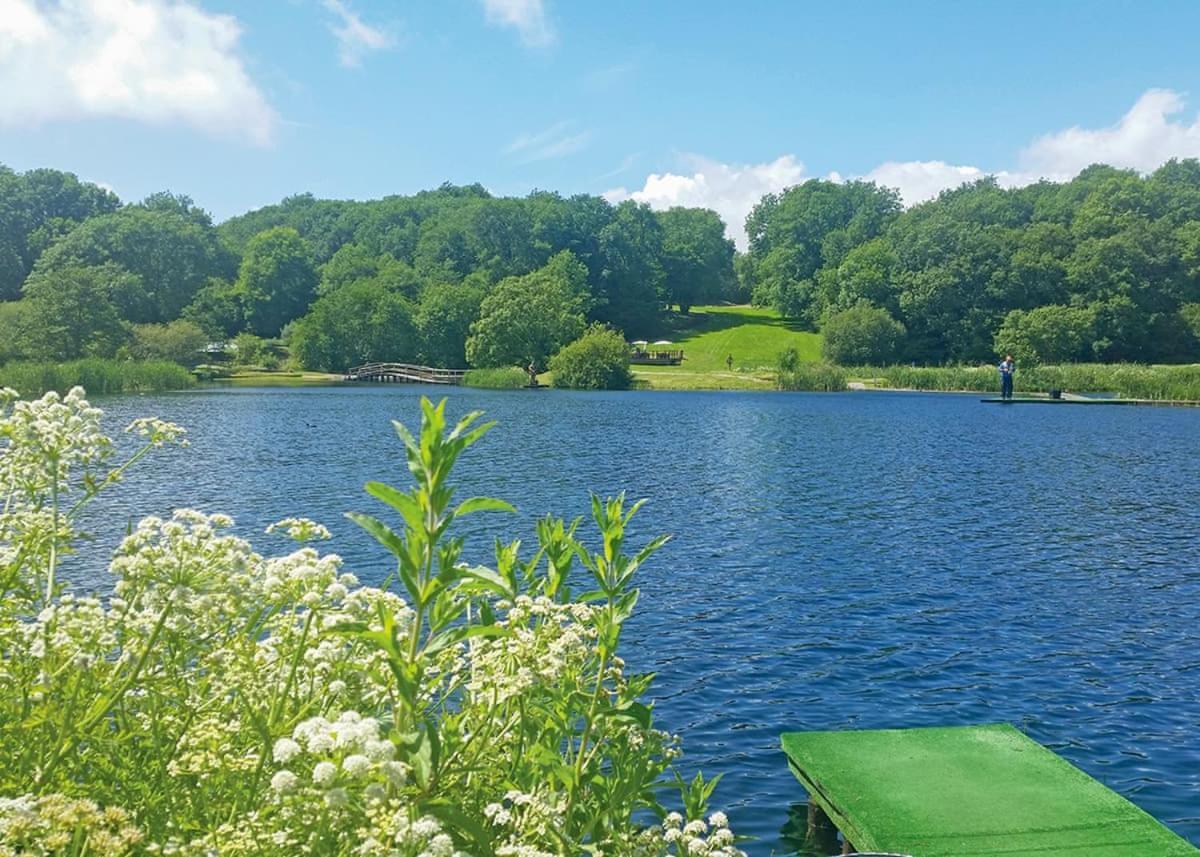Hotel Garnffrwd Park Llanddarog Exteriér fotografie