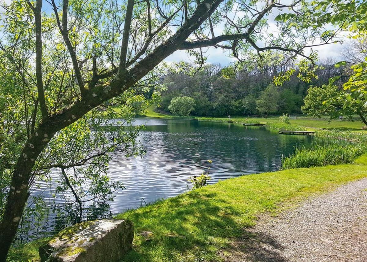 Hotel Garnffrwd Park Llanddarog Exteriér fotografie